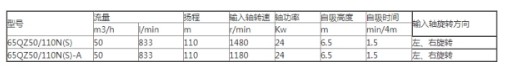 65QZ50/110ˮÅ